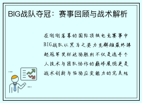 BIG战队夺冠：赛事回顾与战术解析