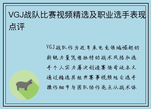 VGJ战队比赛视频精选及职业选手表现点评