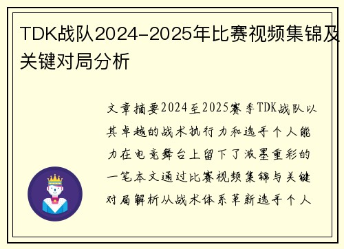 TDK战队2024-2025年比赛视频集锦及关键对局分析